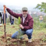 Anuncia Bedolla reforestación de 17 mil hectáreas con 10.5 millones de árboles