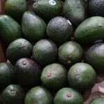 Indicación Geográfica del aguacate genera mayor valor para 48 mil productores michoacanos