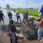 Con 260 presas filtrantes, retienen más de 30 mil metros cúbicos de azolve en lago de Pátzcuaro