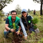 PVEM Michoacán planta 5 mil pinos y avanza hacia la meta de 20 mil árboles en el estado