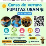 Abren inscripciones al Curso de Verano Pumitas UNAM