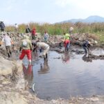Con obras de conservación, Programa de Empleo Temporal blinda al lago de Pátzcuaro