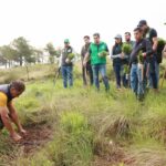 Encabeza PVEM jornada de reforestación en Morelia como parte del plan «Michoacán Competitivo»