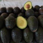 Reconocimiento a la Franja Aguacatera de Michoacán protege más de 150 mil empleos