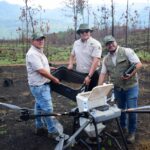 Así es la tecnología de las semillas que reforestan los bosques michoacanos