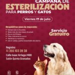 SSM realizará jornada gratuita de esterilización felina y canina en Chilchota