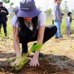 Reforestación en Michoacán, clave para la recuperación de ecosistemas y recursos hídricos