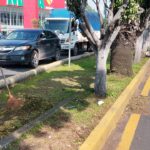 Gobierno de Morelia realiza labores de limpieza y mantenimiento en Libramiento Sur