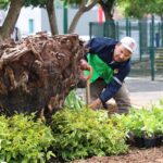 En breve se inaugurará el nuevo Parque lineal de Avenida Quinceo: Alfonso Martinez
