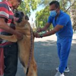SSM exhorta a vacunar contra la rabia a los animales de compañía