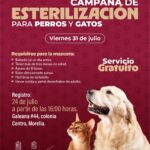 SSM abre registro para jornada gratuita de esterilización canina y felina en Morelia