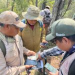 Desde pumas hasta venados; cámaras trampa captan la vida silvestre en bosques de Michoacán