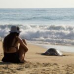 Las playas de Michoacán te esperan para una escapada inolvidable este verano