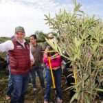 Inicia Bedolla reforestación de 32 mil árboles por obra del Morebús; plantan los primeros 5 mil en Villas del Pedregal