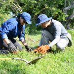 Gobierno de Morelia lleva jornada de reforestación a Tiripetío