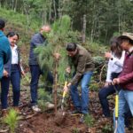 En Segundo Año de Gobierno, Alfonso Martínez consolida liderazgo ambiental de Morelia con nombramiento de Ciudad Árbol