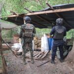 Fuerzas estatales y federales desmantelan laboratorio de drogas sintéticas en Lázaro Cárdenas