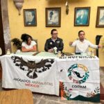 Animalistas advierten retroceso mortal en ley federal que normaliza sacrificio, explotación y cosificación de animales