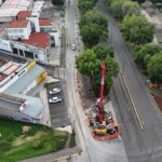 Más de 20 mil árboles transformarán Morelia junto con el Morebús: Sedum