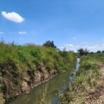 Avanza al 60% la limpieza del canal entre La Mintzita y San Juanito Itzícuaro en Morelia: Rogelio Zarazúa
