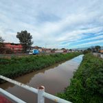 Mantiene Ooapas atención permanente a ríos y drenes de Morelia