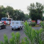 Con ajuste del proyecto del Morebús se rescatarán y trasplantarán 27 árboles en Tres Puentes