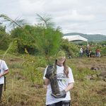 Zona de Tres Puentes contará con Corredor Ecológico; habrá árboles trasplantados y especies nativas