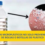 Experto médico aconseja cómo reducir los microplásticos