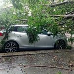 Tormenta eléctrica provoca inundaciones, caída de árboles y apagones en Morelia