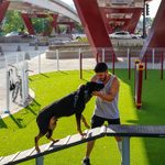 Transformamos distribuidores viales de Morelia en parques y espacios de convivencia: Rogelio Zarazúa