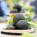 Premio Michoacán al Producto de Origen busca reconocer la excelencia y el orgullo local