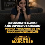 Extorsión en Michoacán se castiga con penas de 15 a 25 años de prisión: SSP
