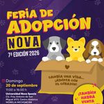 Este domingo hay cita con el corazón: La Casita de Frijol prepara su Feria de Adopción
