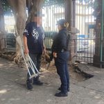SSP evita el pago de 2.7 mdp en extorsiones virtuales en lo que va de septiembre