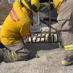 Protección Civil y Bomberos Morelia rescata a nueve patitos de una alcantarilla