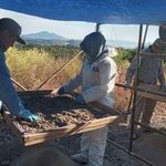 Caso «Dientitos de Leche» refleja omisiones de autoridades en Michoacán: Margarita López