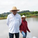 Campamentos tortugueros podrán recuperarse tras el huracán: Compesca