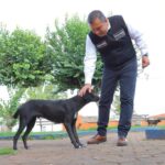 Barragán un aliado permanente en el cuidado de los animales de compañía