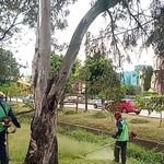 Gobierno de Morelia trabaja en el cuidado de áreas verdes y espacios públicos