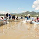 Suman 215 mil ejemplares de pez blanco liberados en el lago de Pátzcuaro