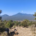 Michoacán triplica superficie de conservación forestal; más de 212 mil hectáreas protegidas