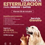 SSM llevará jornada gratuita de esterilización canina y felina a Quiroga