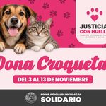 Poder Judicial de Michoacán inicia “Justicia con Huella” campaña solidaria en favor de perros y gatos