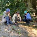 ¡Dinosaurios caminaron por Apatzingán!