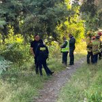 Hallan sin vida a adulta mayor desaparecida en Morelia; estaba en el fondo de un barranco