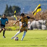 LOS ZORROS CONSOLIDARON EL MEJOR INICIO DE TEMPORADA DE SU HISTORIA EN LA LIGA TDP
